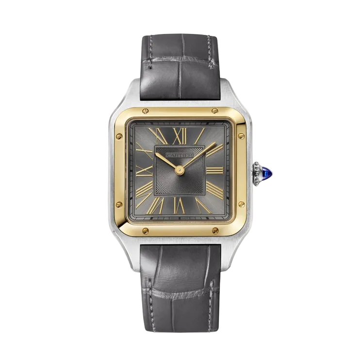 Cartier Santos Dumont Super Clone Swiss Machine