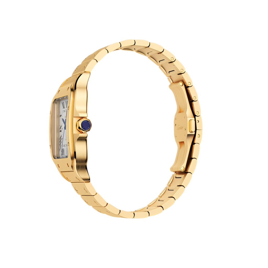 Cartier Santos de