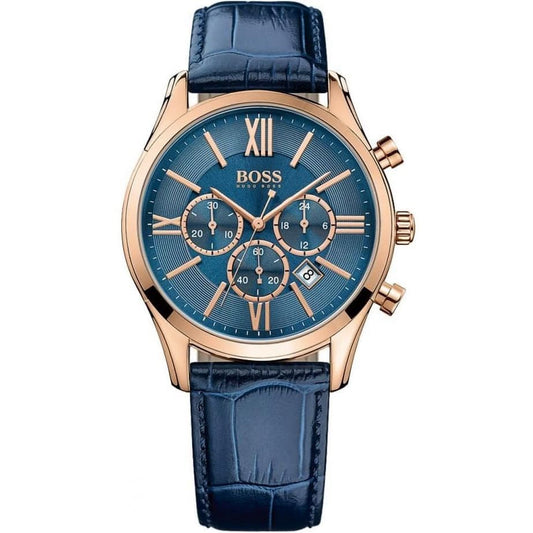 Hugo Boss Watch 1513320