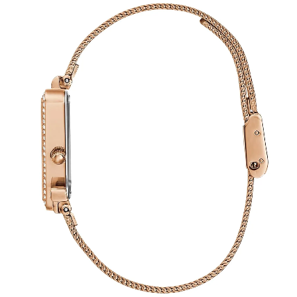 Guess Women's Watch GW0508L3