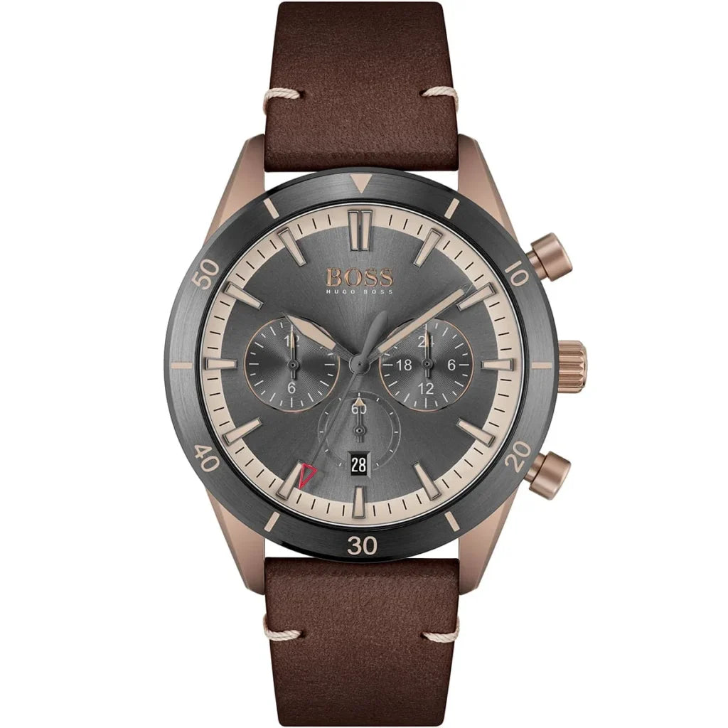 Hugo Boss Watch 1513861