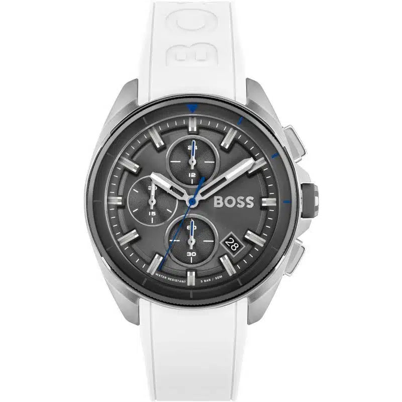 Hugo Boss Watch 1513948