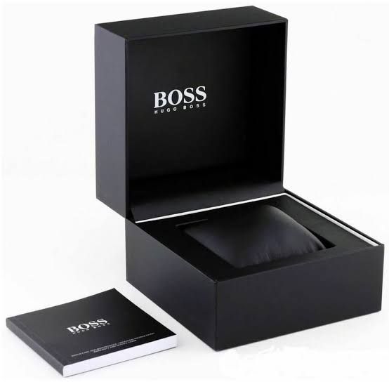 Hugo Boss Watch 1513093